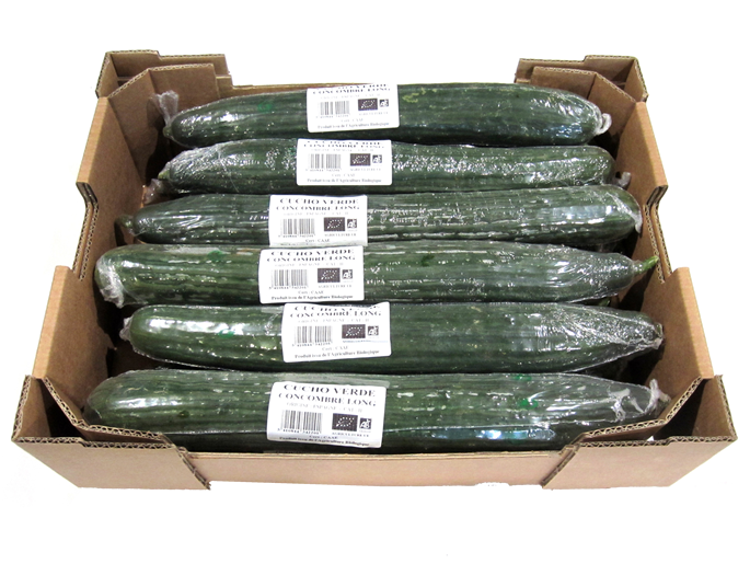 CONCOMBRE 300 /400